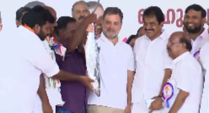 തെരഞ്ഞെടുപ്പ് പ്രചാരണത്തിനായി ആലപ്പുഴയിലെത്തിയ രാഹുൽ ഗാന്ധിക്ക് സമ്മാനമായി ലഭിച്ചത് നാല് കിലോ തൂക്കമുള്ള നല്ല പെടയ്ക്കണ നെയ്മീൻ തെരഞ്ഞെടുപ്പ് പ്രചാരണത്തിനായി ആലപ്പുഴയിലെത്തിയ രാഹുൽ ഗാന്ധിക്ക് സമ്മാനമായി ലഭിച്ചത് നാല് കിലോ തൂക്കമുള്ള നല്ല പെടയ്ക്കണ നെയ്മീൻ