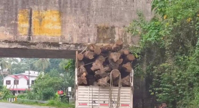 അഴിമതിപ്പാതയിലെ ഉതിമൂട് വലിയകലുങ്ക് കനാല്പ്പാലത്തിന് താഴെ തടിലോറി കുടുങ്ങി അഴിമതിപ്പാതയിലെ ഉതിമൂട് വലിയകലുങ്ക് കനാല്പ്പാലത്തിന് താഴെ തടിലോറി കുടുങ്ങി