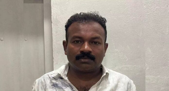 പെരുമ്പാവൂരിൽ തലയണ കമ്പനി തീവച്ച് നശിപ്പിച്ച കേസിൽ ഒരാൾ പിടിയിൽ പെരുമ്പാവൂരിൽ തലയണ കമ്പനി തീവച്ച് നശിപ്പിച്ച കേസിൽ ഒരാൾ പിടിയിൽ