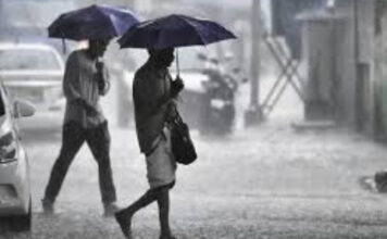 വടക്കൻ കേരളത്തിൽ മഴ കനക്കുന്നു ; നാല് ജില്ലകളിൽ യെല്ലോ അലർട്ട്