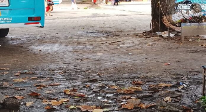 മാലിന്യക്കൂമ്പാരമായി ഇട്ടിയപ്പാറ ബസ് സ്റ്റാൻഡ് : നിസ്സംഗതയോടെ പഴവങ്ങാടി ഗ്രാമ പഞ്ചായത്ത് മാലിന്യക്കൂമ്പാരമായി ഇട്ടിയപ്പാറ ബസ് സ്റ്റാൻഡ് : നിസ്സംഗതയോടെ പഴവങ്ങാടി ഗ്രാമ പഞ്ചായത്ത്