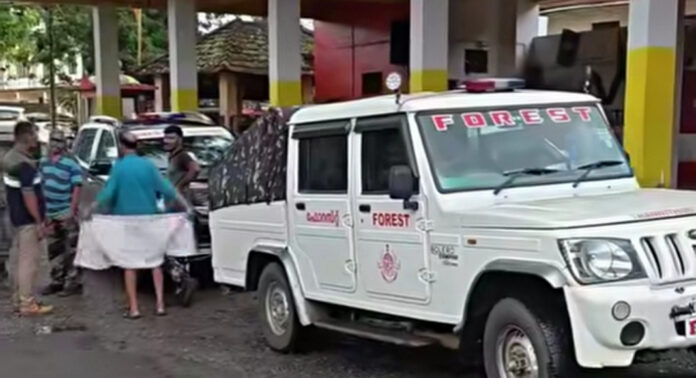 വടശേരിക്കരയിൽ വീണ്ടും കാട്ടാന – വനപാലകർക്ക് കണ്ടെത്താനായില്ല – ജനങ്ങൾ ഭീതിയിൽ വടശേരിക്കരയിൽ വീണ്ടും കാട്ടാന – വനപാലകർക്ക് കണ്ടെത്താനായില്ല – ജനങ്ങൾ ഭീതിയിൽ