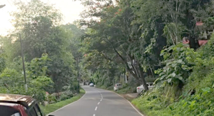 സ്കൂള് തുറക്കാന് ദിവസങ്ങള് മാത്രം ബാക്കി ; ചിറ്റാറില് റോഡരുകിലെ അപകടകരമായ മരങ്ങള് മുറിക്കാന് നടപടിയില്ല സ്കൂള് തുറക്കാന് ദിവസങ്ങള് മാത്രം ബാക്കി ; ചിറ്റാറില് റോഡരുകിലെ അപകടകരമായ മരങ്ങള് മുറിക്കാന് നടപടിയില്ല