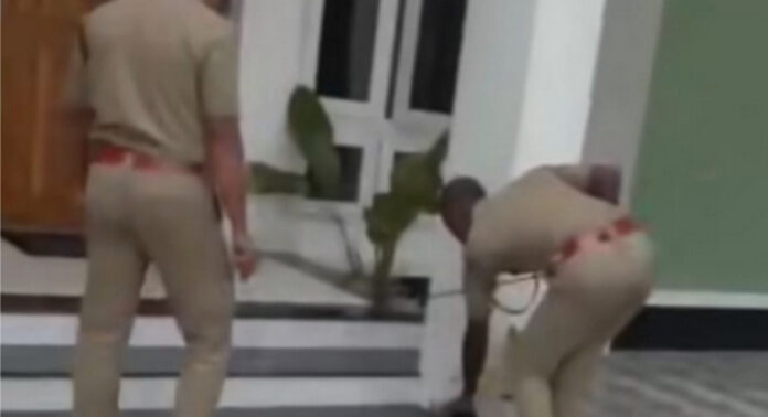 പത്തനംതിട്ട ജില്ലാ കളക്ടറുടെ വസതിയില് മൂര്ഖന് പാമ്പ് പത്തനംതിട്ട ജില്ലാ കളക്ടറുടെ വസതിയില് മൂര്ഖന് പാമ്പ്