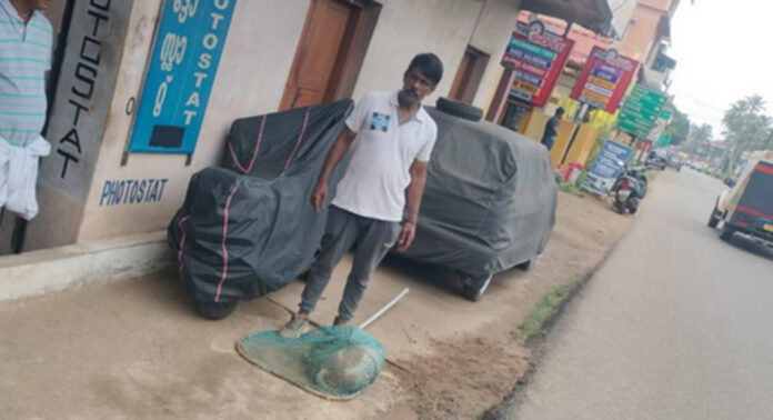 തെരുവ് നായകള്ക്ക് പ്രതിരോധ വാക്സിനേഷന് നല്കിയാല് പോരാ …നായകള്ക്ക് ഷെല്ട്ടര് പണിത് അവിടേക്ക് മാറ്റൂ : ഓമല്ലൂര് പഞ്ചായത്തിനെതിരെ വിമര്ശനം തെരുവ് നായകള്ക്ക് പ്രതിരോധ വാക്സിനേഷന് നല്കിയാല് പോരാ …നായകള്ക്ക് ഷെല്ട്ടര് പണിത് അവിടേക്ക് മാറ്റൂ : ഓമല്ലൂര് പഞ്ചായത്തിനെതിരെ വിമര്ശനം