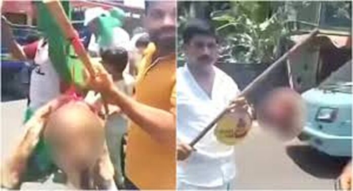 തവനൂരിൽ യുഡിഎഫ് വിജയാഘോഷത്തിൽ ആടിന്റെ അറുത്തെടുത്ത തലയുമായി ആഹ്ലാദ പ്രകടനം നടത്തിയതിൽ വിമർശനം തവനൂരിൽ യുഡിഎഫ് വിജയാഘോഷത്തിൽ ആടിന്റെ അറുത്തെടുത്ത തലയുമായി ആഹ്ലാദ പ്രകടനം നടത്തിയതിൽ വിമർശനം