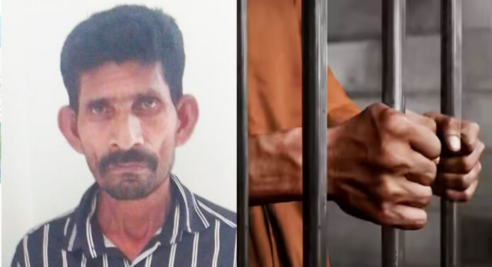 പ്രായപൂർത്തിയാകാത്ത പെൺകുട്ടിയെ പീഡിപ്പിച്ച കേസ് : പ്രതി റെജി വർഗീസിന് മൂന്നുവർഷം തടവും പിഴയും പ്രായപൂർത്തിയാകാത്ത പെൺകുട്ടിയെ പീഡിപ്പിച്ച കേസ് : പ്രതി റെജി വർഗീസിന് മൂന്നുവർഷം തടവും പിഴയും