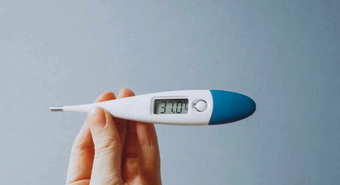 ഇടുക്കിയിൽ ഡെങ്കിപ്പനി പടരുന്നു : ഈ മാസം മാത്രം 49 കേസുകൾ , അതീവ ജാഗ്രത ഇടുക്കിയിൽ ഡെങ്കിപ്പനി പടരുന്നു : ഈ മാസം മാത്രം 49 കേസുകൾ , അതീവ ജാഗ്രത
