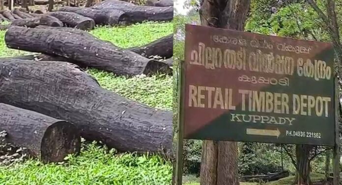 മുട്ടിൽ മരംമുറി കേസിൽ മരങ്ങളുടെ കണക്കെടുത്ത് അന്വേഷണ സംഘം മുട്ടിൽ മരംമുറി കേസിൽ മരങ്ങളുടെ കണക്കെടുത്ത് അന്വേഷണ സംഘം