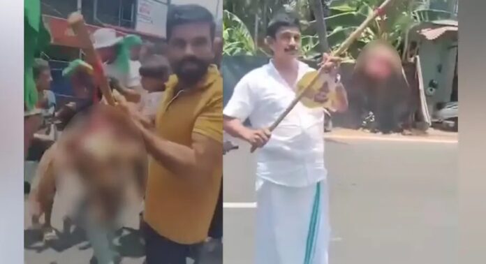 തിരൂരിൽ ആഹ്ലാദ പ്രകടനത്തിനിടെ ആടിന്റെ തലയറുത്ത് പ്രദർശിപ്പിച്ച് മുസ്ലിം ലീഗ് തിരൂരിൽ ആഹ്ലാദ പ്രകടനത്തിനിടെ ആടിന്റെ തലയറുത്ത് പ്രദർശിപ്പിച്ച് മുസ്ലിം ലീഗ്