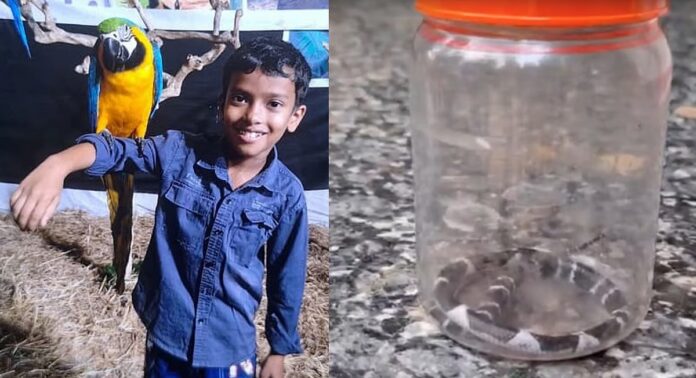 കോടാലിയില് പാമ്പ് കടിയേറ്റ് ചികിത്സയിലായിരുന്ന അനോഷ് വീട്ടിൽ തിരിച്ചെത്തി കോടാലിയില് പാമ്പ് കടിയേറ്റ് ചികിത്സയിലായിരുന്ന അനോഷ് വീട്ടിൽ തിരിച്ചെത്തി
