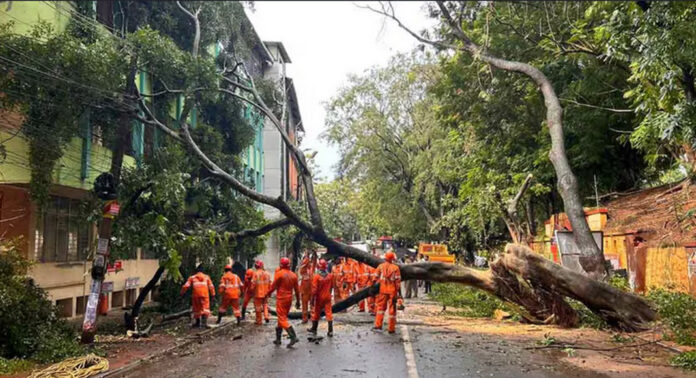 മഴക്കാല മുന്നൊരുക്കം : മാര്ഗനിര്ദ്ദേശങ്ങളുമായി പത്തനംതിട്ട ജില്ല ഭരണകൂടം മഴക്കാല മുന്നൊരുക്കം : മാര്ഗനിര്ദ്ദേശങ്ങളുമായി പത്തനംതിട്ട ജില്ല ഭരണകൂടം