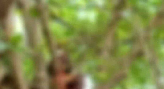 സെക്രട്ടറിയേറ്റിന് മുമ്പിൽ ജീവനൊടുക്കുമെന്ന ഭീഷണിയുമായി യുവാവ് സെക്രട്ടറിയേറ്റിന് മുമ്പിൽ ജീവനൊടുക്കുമെന്ന ഭീഷണിയുമായി യുവാവ്