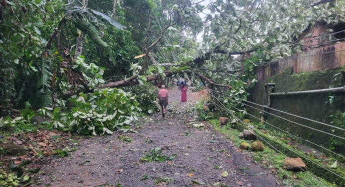 ശക്തമായ കാറ്റിലും മഴയിലും നാറാണംമൂഴി , പെരുനാട് പഞ്ചായത്തുകളില് വ്യാപക നാശനഷ്ടം ശക്തമായ കാറ്റിലും മഴയിലും നാറാണംമൂഴി , പെരുനാട് പഞ്ചായത്തുകളില് വ്യാപക നാശനഷ്ടം