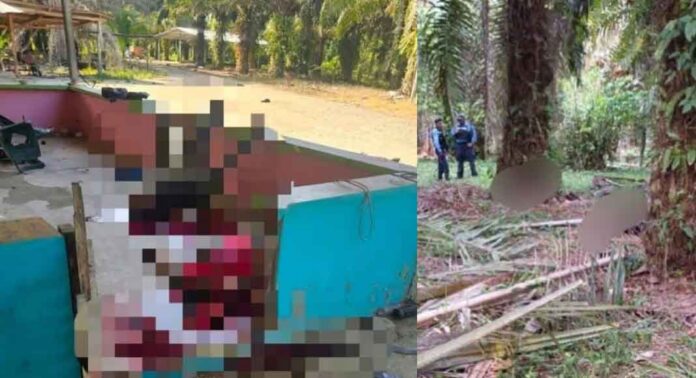 ഹോണ്ടുറാസിൽ രണ്ട് വെടിവെയ്പ്പുകളിലായി ആറ് പോലീസ് ഉദ്യോഗസ്ഥർ ഉൾപ്പെടെ 16 പേർ കൊല്ലപ്പെട്ടു ഹോണ്ടുറാസിൽ രണ്ട് വെടിവെയ്പ്പുകളിലായി ആറ് പോലീസ് ഉദ്യോഗസ്ഥർ ഉൾപ്പെടെ 16 പേർ കൊല്ലപ്പെട്ടു
