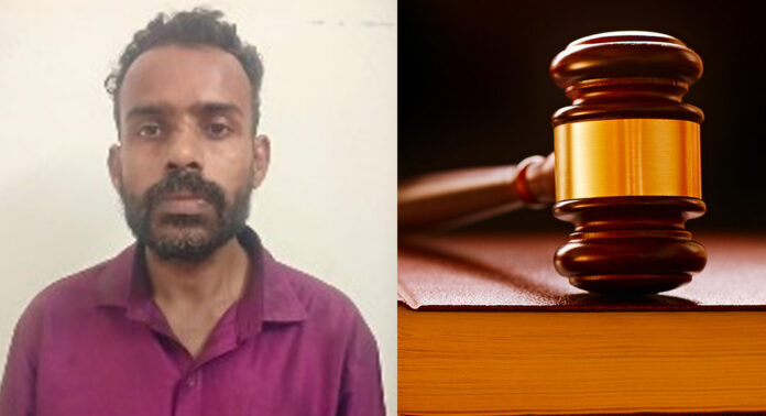 സോളാർ ബാറ്ററി മോഷണം : പ്രതിക്ക് രണ്ടു വർഷം തടവും പിഴയും സോളാർ ബാറ്ററി മോഷണം : പ്രതിക്ക് രണ്ടു വർഷം തടവും പിഴയും