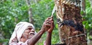 റബർവില മുന്നൂറിലേക്ക്
