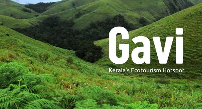 ഗവിയിൽ സുരക്ഷാ വലയം ശക്തമാക്കുന്നു ; പുറത്തുനിന്നുള്ളവരുടെ താമസത്തിനും പ്രവേശനത്തിനും നിയന്ത്രണം ഗവിയിൽ സുരക്ഷാ വലയം ശക്തമാക്കുന്നു ; പുറത്തുനിന്നുള്ളവരുടെ താമസത്തിനും പ്രവേശനത്തിനും നിയന്ത്രണം