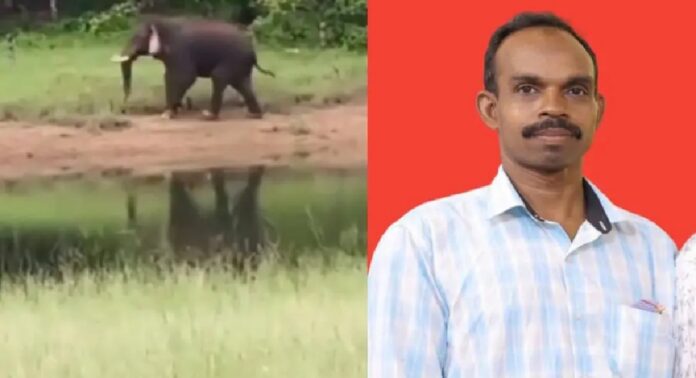 കൃഷിയിടത്തിലെത്തിയ കാട്ടാനയെ ഓടിക്കാൻ ശ്രമം ; ആനയുടെ കുത്തേറ്റ് യുവാവിന് ദാരുണാന്ത്യം കൃഷിയിടത്തിലെത്തിയ കാട്ടാനയെ ഓടിക്കാൻ ശ്രമം ; ആനയുടെ കുത്തേറ്റ് യുവാവിന് ദാരുണാന്ത്യം