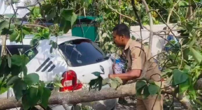 വിഴിഞ്ഞത്ത് ഓടിക്കൊണ്ടിരുന്ന കാറിന് മുകളിലേക്ക് കൂറ്റൻ മരം കടപുഴകി വീണ് വൻ അപകടം വിഴിഞ്ഞത്ത് ഓടിക്കൊണ്ടിരുന്ന കാറിന് മുകളിലേക്ക് കൂറ്റൻ മരം കടപുഴകി വീണ് വൻ അപകടം
