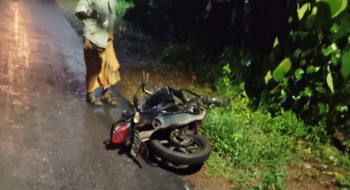 അടൂരില് കാട്ടുപന്നിയുടെ ആക്രമണത്തില് ബൈക്ക് യാത്രക്കാരന് പരിക്കേറ്റു അടൂരില് കാട്ടുപന്നിയുടെ ആക്രമണത്തില് ബൈക്ക് യാത്രക്കാരന് പരിക്കേറ്റു