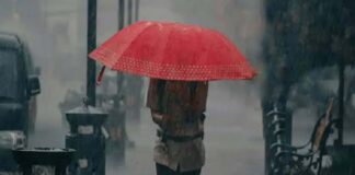 സംസ്ഥാനത്ത് ഇന്നും മഴ കനക്കും ; തൃശ്ശൂർ മുതൽ കാസർകോട് വരെ ഓറഞ്ച് അലർട്ട്