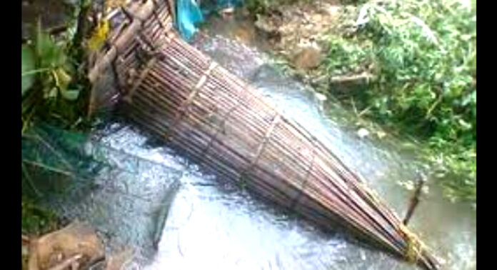 പത്തനംതിട്ടയില് ഊത്തപിടുത്തം നിരോധിച്ചു – 15000 രൂപ വരെ പിഴയും ആറ് മാസം തടവും ലഭിക്കും പത്തനംതിട്ടയില് ഊത്തപിടുത്തം നിരോധിച്ചു – 15000 രൂപ വരെ പിഴയും ആറ് മാസം തടവും ലഭിക്കും
