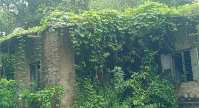 വടശ്ശേരിക്കരയില് കാടുകയറിയ സര്ക്കാര് ഭൂമി പൊതു ജനങ്ങള്ക്ക് ഭീഷണി വടശ്ശേരിക്കരയില് കാടുകയറിയ സര്ക്കാര് ഭൂമി പൊതു ജനങ്ങള്ക്ക് ഭീഷണി