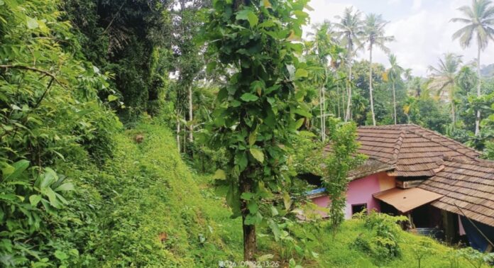 റാന്നി ഭഗവതിക്കുന്നിൽ ദേവസ്വം ബോർഡിന്റെ തേക്കുമരക്കഷണങ്ങൾ മോഷ്ടിച്ചു ; പോലീസിൽ പരാതി റാന്നി ഭഗവതിക്കുന്നിൽ ദേവസ്വം ബോർഡിന്റെ തേക്കുമരക്കഷണങ്ങൾ മോഷ്ടിച്ചു ; പോലീസിൽ പരാതി
