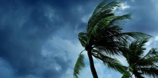 ബംഗാള് ഉള്ക്കടലില് ന്യൂനമര്ദം ; നാളെ മുതല് സംസ്ഥാനത്ത് ശക്തമായ മഴ ലഭിച്ചേക്കും