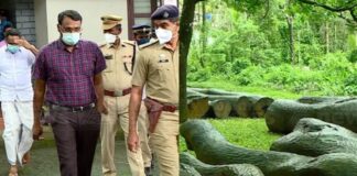 മുട്ടിൽ മരം മുറിയിലെ വഞ്ചന കേസ് ; പ്രതികൾ വീണ്ടും ഹൈക്കോടതിയിൽ