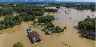 അസമിൽ പ്രളയക്കെടുതി രൂക്ഷം : 17 സംസ്ഥാനങ്ങളിൽ കനത്ത മഴയ്ക്ക് സാധ്യത ; മരണസംഖ്യ 87 ആയി