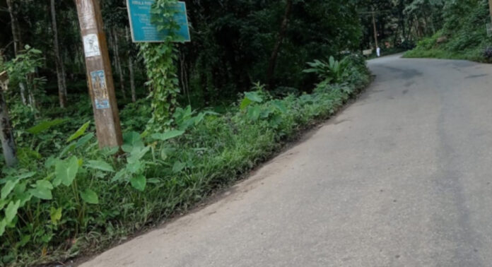 പൊന്തൻപുഴ -ചുങ്കപ്പാറ റോഡിൽ തിയേറ്റർ ജംഗ്ഷന് സമീപം അപകടങ്ങള് പെരുകുന്നു ; ക്രാഷ് ബാരിയർ സ്ഥാപിക്കണമെന്ന് ആവശ്യം പൊന്തൻപുഴ -ചുങ്കപ്പാറ റോഡിൽ തിയേറ്റർ ജംഗ്ഷന് സമീപം അപകടങ്ങള് പെരുകുന്നു ; ക്രാഷ് ബാരിയർ സ്ഥാപിക്കണമെന്ന് ആവശ്യം