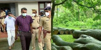 തന്റെ പേരിൽ 164 കേസുകളാണ് രജിസ്റ്റർ ചെയ്തിരിക്കുന്നതെന്നും മുറിച്ച മരങ്ങളൊന്നും സംരക്ഷിത മരങ്ങളല്ലെന്നും കേസിലെ ഒന്നാംപ്രതി റോജി എം. അഗസ്റ്റിൻ