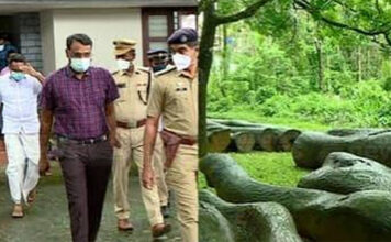 തന്റെ പേരിൽ 164 കേസുകളാണ് രജിസ്റ്റർ ചെയ്തിരിക്കുന്നതെന്നും മുറിച്ച മരങ്ങളൊന്നും സംരക്ഷിത മരങ്ങളല്ലെന്നും കേസിലെ ഒന്നാംപ്രതി റോജി എം. അഗസ്റ്റിൻ