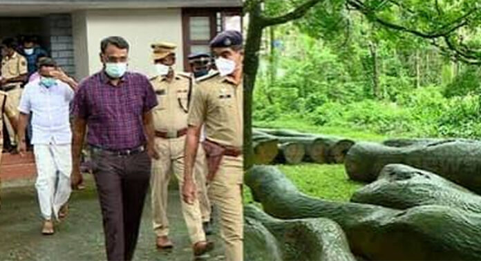 തന്റെ പേരിൽ 164 കേസുകളാണ് രജിസ്റ്റർ ചെയ്തിരിക്കുന്നതെന്നും മുറിച്ച മരങ്ങളൊന്നും സംരക്ഷിത മരങ്ങളല്ലെന്നും കേസിലെ ഒന്നാംപ്രതി റോജി എം. അഗസ്റ്റിൻ തന്റെ പേരിൽ 164 കേസുകളാണ് രജിസ്റ്റർ ചെയ്തിരിക്കുന്നതെന്നും മുറിച്ച മരങ്ങളൊന്നും സംരക്ഷിത മരങ്ങളല്ലെന്നും കേസിലെ ഒന്നാംപ്രതി റോജി എം. അഗസ്റ്റിൻ
