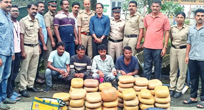 11 ബാഗുകളിലായി 116 കിലോ കഞ്ചാവുമായി നാല് ഒഡിഷ സ്വദേശികൾ പിടിയിൽ 11 ബാഗുകളിലായി 116 കിലോ കഞ്ചാവുമായി നാല് ഒഡിഷ സ്വദേശികൾ പിടിയിൽ