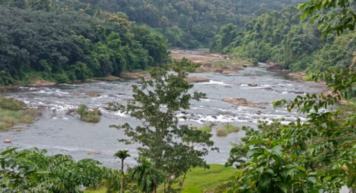 പമ്പാനദിയിൽ തോട്ടാ പൊട്ടിച്ച് മീൻപിടുത്തം വ്യാപകമാകുന്നു : പരാതിയുമായി നാട്ടുകാർ പമ്പാനദിയിൽ തോട്ടാ പൊട്ടിച്ച് മീൻപിടുത്തം വ്യാപകമാകുന്നു : പരാതിയുമായി നാട്ടുകാർ