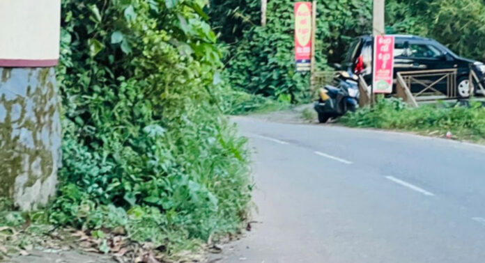 പെരുനാട് – അത്തിക്കയം റോഡിൽ യാത്രക്കാർക്ക് അപകടഭീഷണിയായി കാടുവളരുന്നു പെരുനാട് – അത്തിക്കയം റോഡിൽ യാത്രക്കാർക്ക് അപകടഭീഷണിയായി കാടുവളരുന്നു