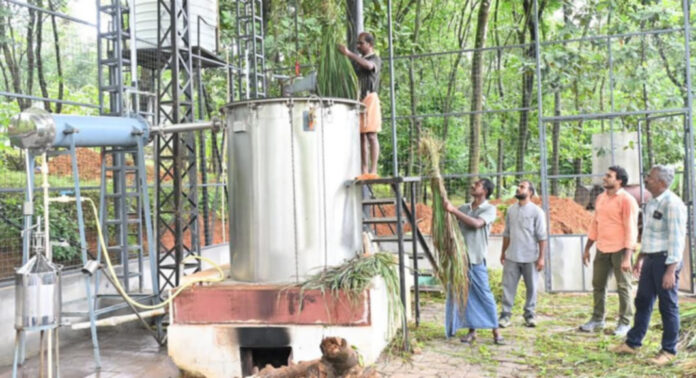 കാട്ടാന ശല്യമുള്ള സ്ഥലങ്ങളില് ഇഞ്ചിപ്പുൽ (വാറ്റുപുല്ല്) കൃഷിയുമായി എറണാകുളം കൃഷി വിജ്ഞാന കേന്ദ്രം ; സംസ്കരണത്തിനായി പുൽത്തൈല യൂണിറ്റും പ്രവർത്തനസജ്ജം കാട്ടാന ശല്യമുള്ള സ്ഥലങ്ങളില് ഇഞ്ചിപ്പുൽ (വാറ്റുപുല്ല്) കൃഷിയുമായി എറണാകുളം കൃഷി വിജ്ഞാന കേന്ദ്രം ; സംസ്കരണത്തിനായി പുൽത്തൈല യൂണിറ്റും പ്രവർത്തനസജ്ജം