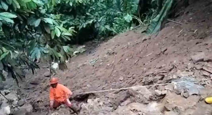 ഇടുക്കി ജില്ലയില് 1.36 കോടിയുടെ കൃഷിനാശം; തകര്ന്നത് 117 റോഡുകള് ഇടുക്കി ജില്ലയില് 1.36 കോടിയുടെ കൃഷിനാശം; തകര്ന്നത് 117 റോഡുകള്