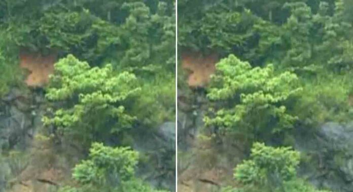 കുതിരാൻ തുരങ്കത്തിലെ മണ്ണിടിച്ചിൽ : മന്ത്രിയുടെയും സംഘത്തിന്റെയും അടിയന്തര സന്ദർശനം ; ഭീഷണിയില്ലെന്ന് പ്രാഥമിക വിലയിരുത്തൽ കുതിരാൻ തുരങ്കത്തിലെ മണ്ണിടിച്ചിൽ : മന്ത്രിയുടെയും സംഘത്തിന്റെയും അടിയന്തര സന്ദർശനം ; ഭീഷണിയില്ലെന്ന് പ്രാഥമിക വിലയിരുത്തൽ