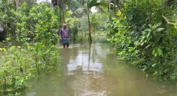 കടലിലേക്ക് ജലം ഒഴുകിപ്പോകുന്നില്ല ; കുട്ടനാട്ടിൽ ജലനിരപ്പ് ഉയർന്നു തന്നെ നിൽക്കുന്നു കടലിലേക്ക് ജലം ഒഴുകിപ്പോകുന്നില്ല ; കുട്ടനാട്ടിൽ ജലനിരപ്പ് ഉയർന്നു തന്നെ നിൽക്കുന്നു