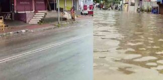 പമ്പാ നദിയിൽ വീണ്ടും ജലനിരപ്പ് ഉയരുന്നു ; റാന്നിയിൽ ജാഗ്രത പാലിക്കാൻ നിർദേശം