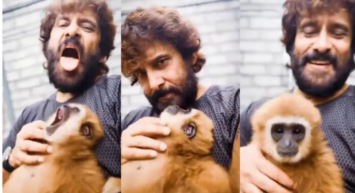 നടൻ വിക്രമിന് വനം വകുപ്പിന്റെ നോട്ടീസ് ; നടപടി സംരക്ഷിത കുരങ്ങിനൊപ്പമുള്ള വീഡിയോയ്ക്ക് പിന്നാലെ നടൻ വിക്രമിന് വനം വകുപ്പിന്റെ നോട്ടീസ് ; നടപടി സംരക്ഷിത കുരങ്ങിനൊപ്പമുള്ള വീഡിയോയ്ക്ക് പിന്നാലെ